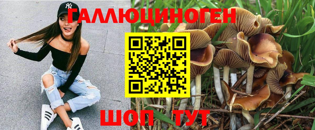 Псилоцибиновые грибы ЛСД Великий Устюг
