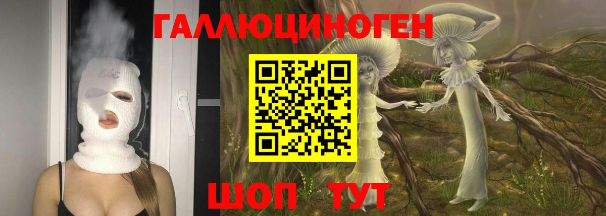 Галлюциногенные грибы GOLDEN TEACHER  купить  цена  Великий Устюг  Вход с VPN  Псилоцибиновые грибы мухоморы 